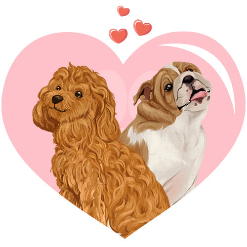 Pet Lovers